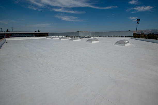 Best Roof Leak Repair  in Lovejoy, GA