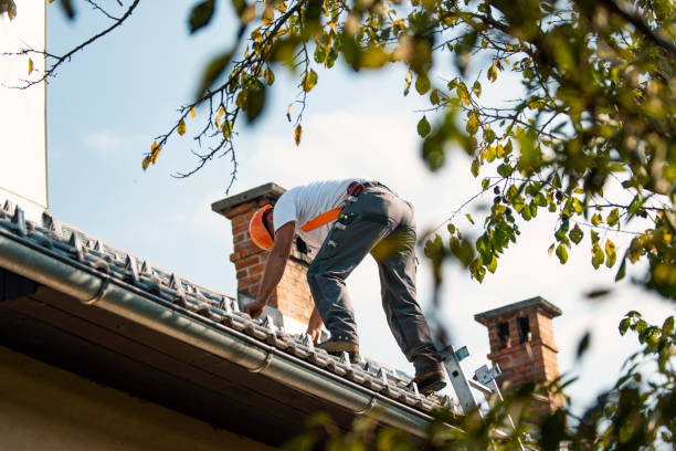 Best Rubber Roofing (EPDM, TPO)  in Lovejoy, GA